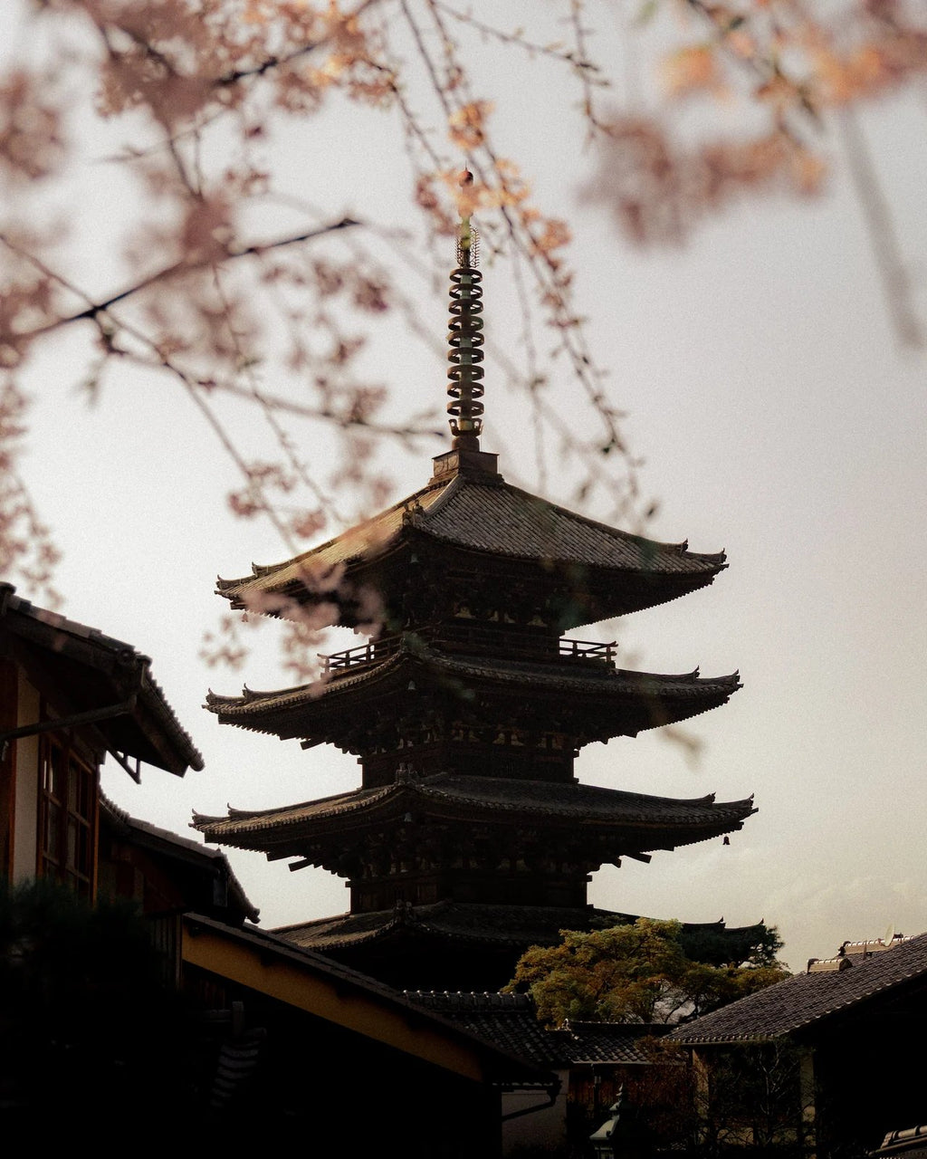 Kyoto shades