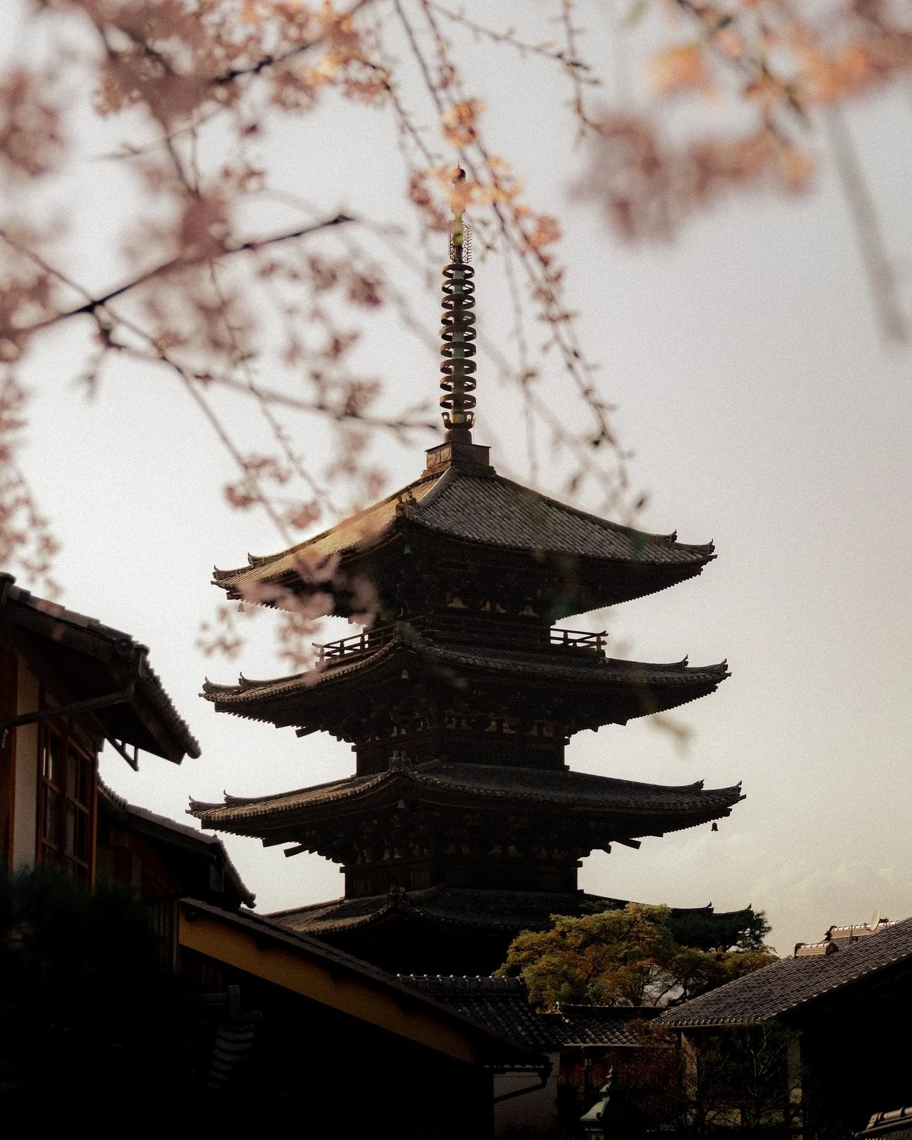 Kyoto shades