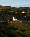 Golden Hill