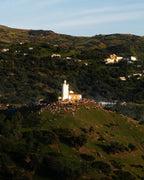 Golden Hill