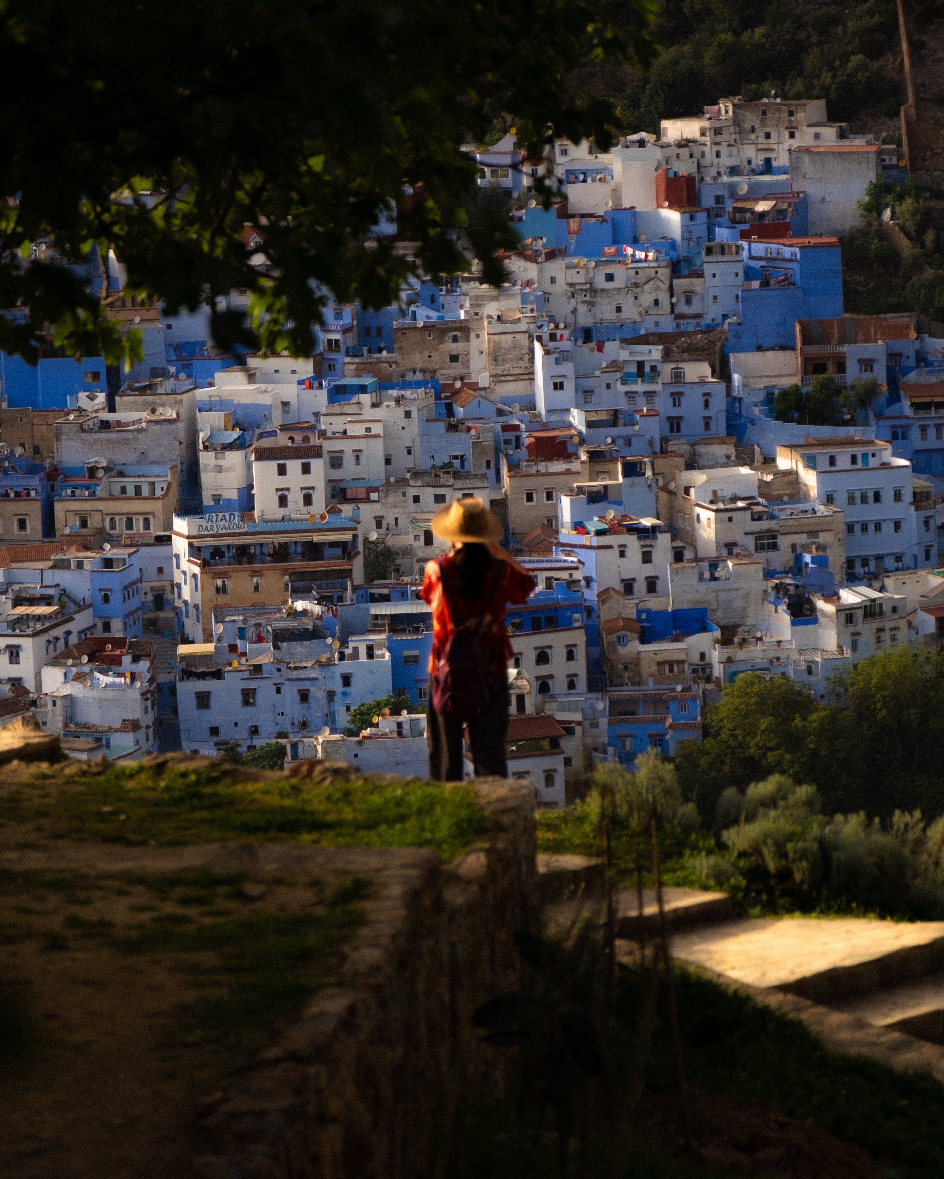 The Blue View